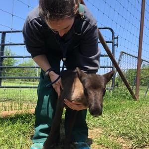 Meet your Posher, Danielle